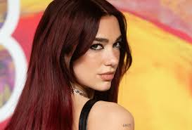 Dua Lipa biography